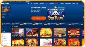 Mostbet Application Review in Pakistan Mostbet Application Review in Pakistan